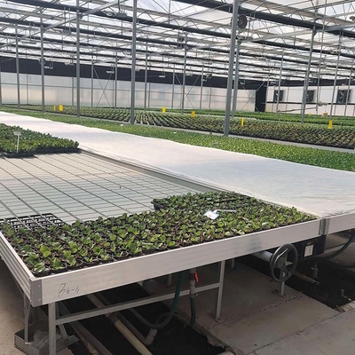 Komersial Greenhouse Rolling Benches / Benih Benih Rumah Kaca Bench untuk Bunga