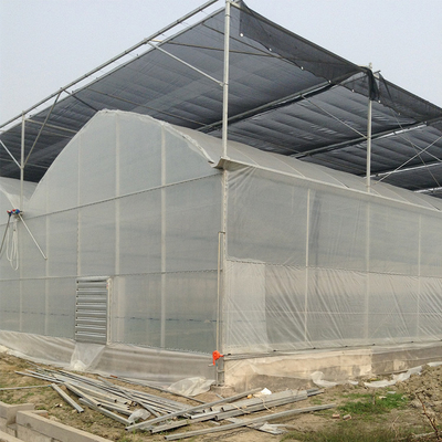 Struktur Galvanis Panas Rumah Kaca Pertanian Polytunnel Rumah Kaca Multi-Bentang Tahan Angin