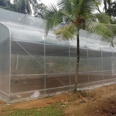 Lengkungan Tropis Rumah Kaca Film Polietilen Tumbuh Pertanian