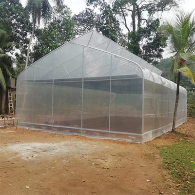 Lengkungan Tropis Rumah Kaca Film Polietilen Tumbuh Pertanian