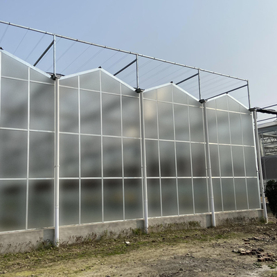 Film Pertanian Clear Polycarbonate Greenhouse Lapisan Bingkai Baja Persegi Transparan