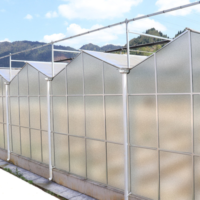 Film Pertanian Clear Polycarbonate Greenhouse Lapisan Bingkai Baja Persegi Transparan