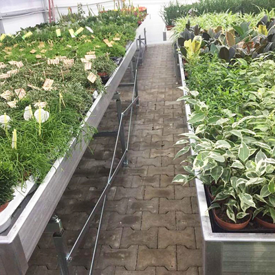 Farming Greenhouse Rolling Benches / Meja Rumah Kaca Komersial Bergerak