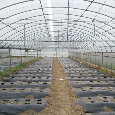 Rumah Kaca Film Plastik Multi Span Frame Untuk Hewan Pertanian Sayuran