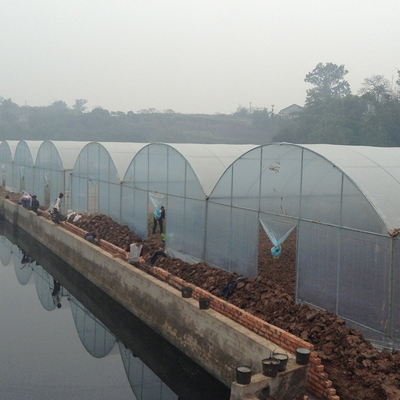 Tanaman Pertanian Tahan Angin Menumbuhkan Sistem Hidroponik Poly Film Multi Span Greenhouse